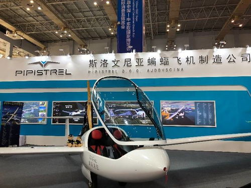 高技術與特色產品亮相中東歐博覽會，推動國際技術開發合作